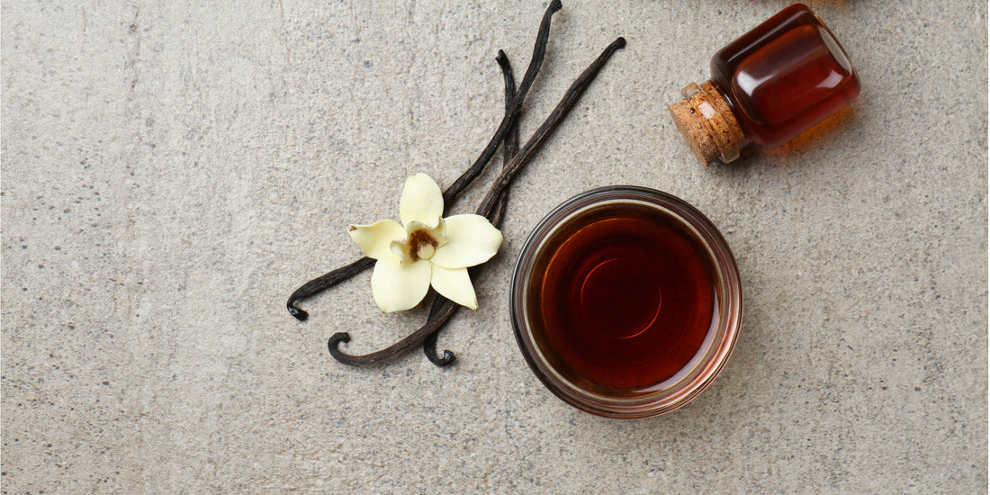 Our Top 12 Vanilla Fragrances