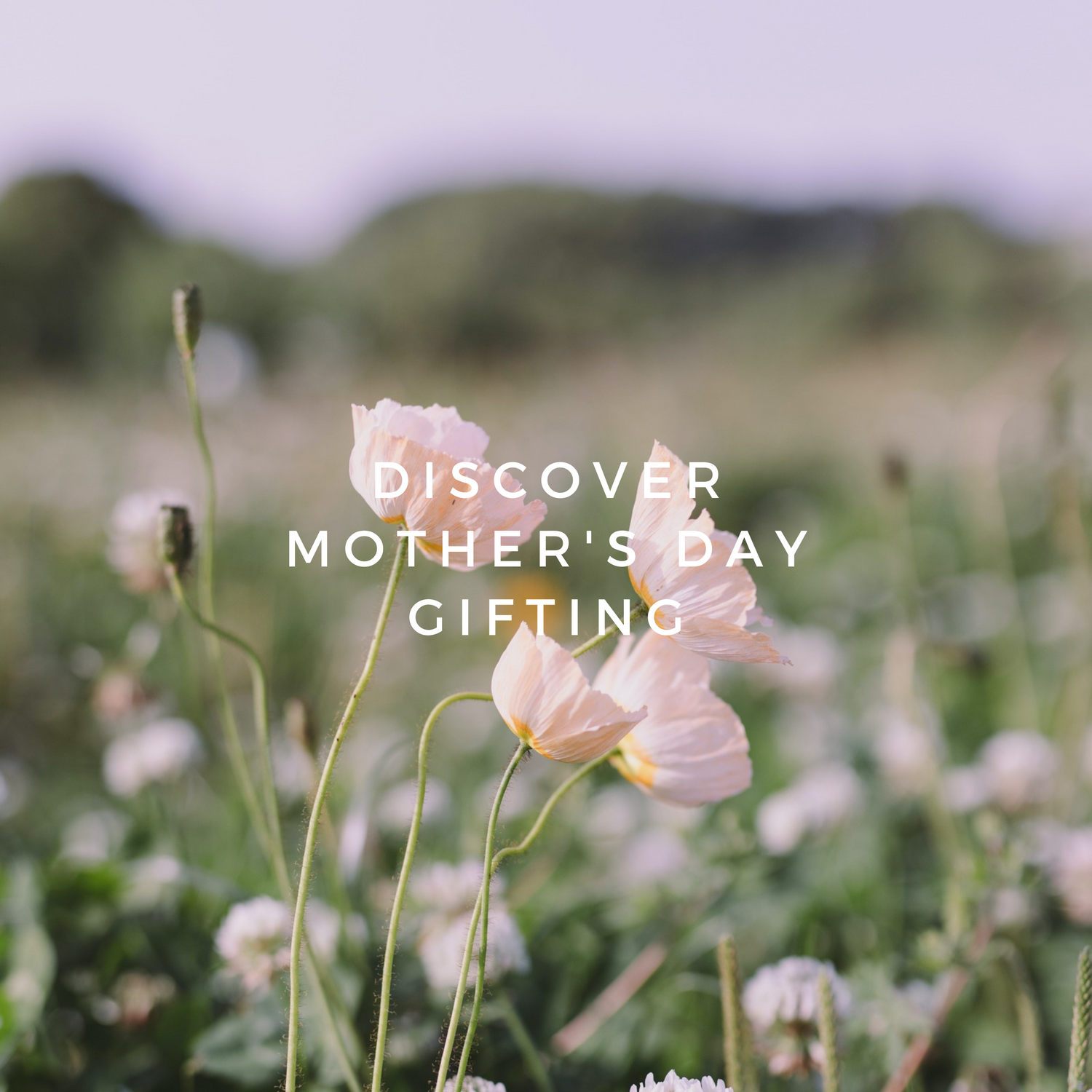 Mother's Day Edit